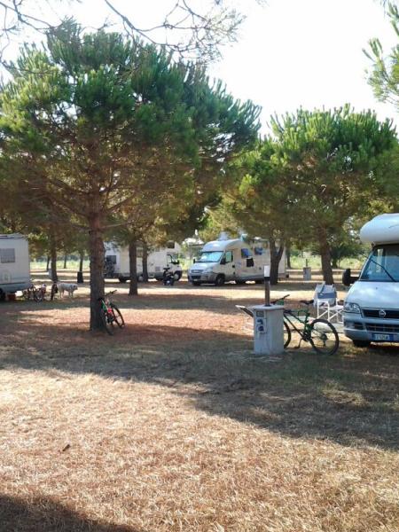 Camper parcheggiati in un'area verde con alberi, biciclette e sedie pieghevoli.